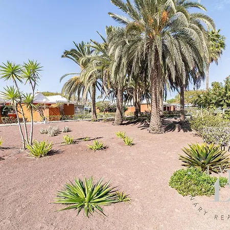 דירה Oasis Con Piscinas Y Jardines En Maspalomas *