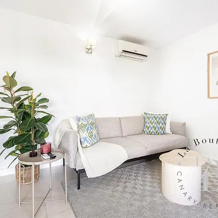 Oasis Con Piscinas Y Jardines En