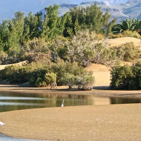 Oasis Con Piscinas Y Jardines En מספאלומס