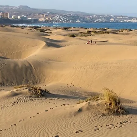 Oasis Con Piscinas Y Jardines En דירה *